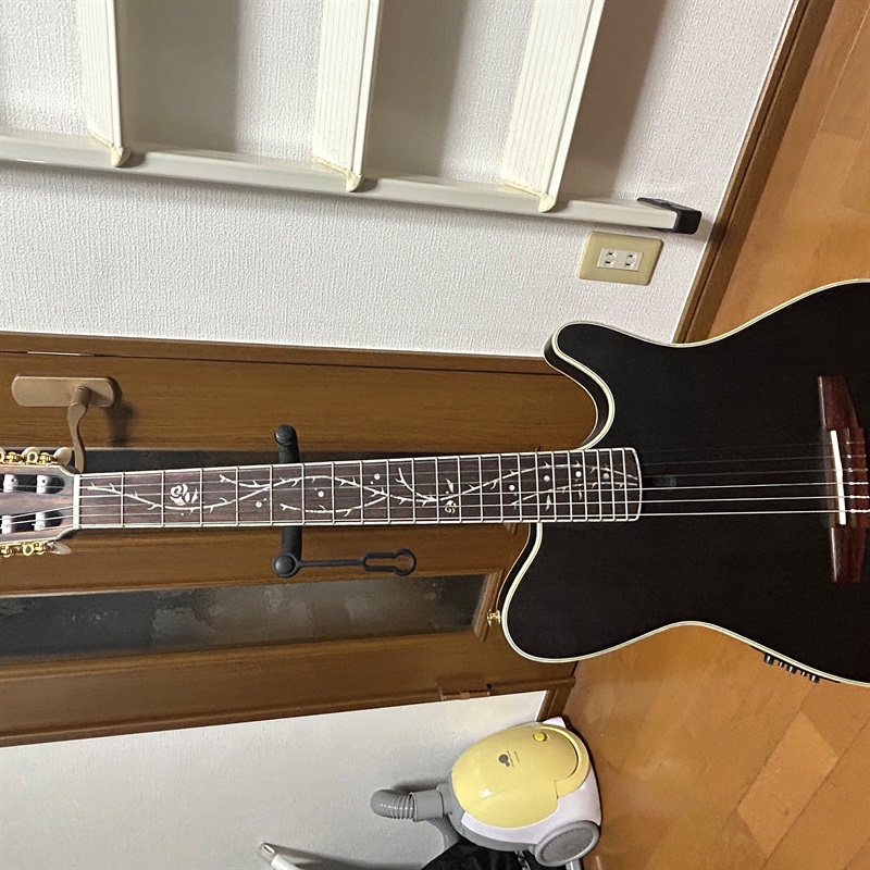 Ibanez TOD10N-TKFの画像